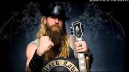 Zakk Wylde - Hell Aint a Bad Place To Be