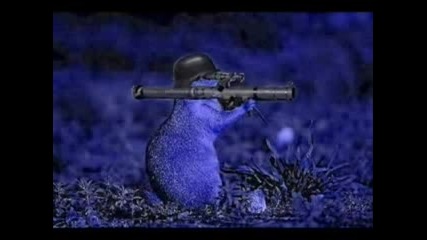 Танца На Хамстерчето