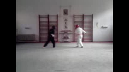 Ookami kumite 08.05.2010 