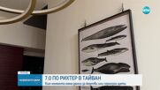 7.0 по рихтер в Тайван