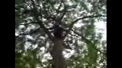 Emo 4olaka