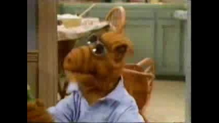 Alf 3