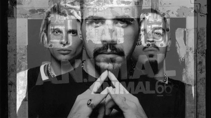 A.n.i.m.a.l - Vamos de pie