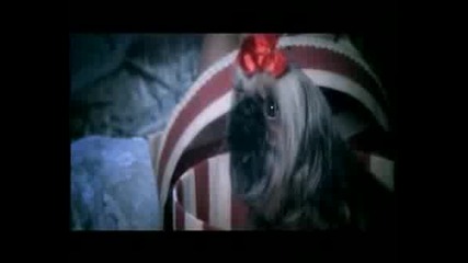 Валерия - Партито Е Отворено