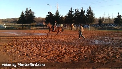 Добрия Лошия и Хубавата :) 