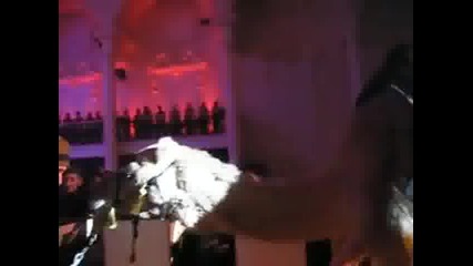 Камила пада върху хора