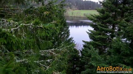 A Flight Through woods