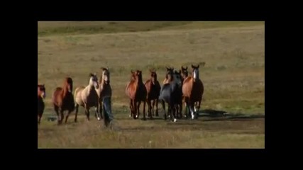 Great American Cowboy