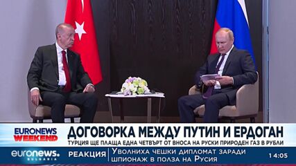 Договорка между Путин и Ердоган: Турция ще плаща една четвърт от вноса на природен газ в рубли