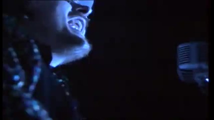 Zucchero - Il Pelo Nell'uovo 1992