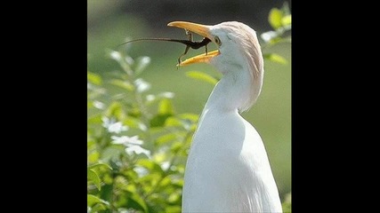 funny