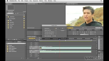 Premiere pro - audio gain