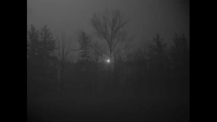 E.d.i.e.h - Night of Branch Wielding