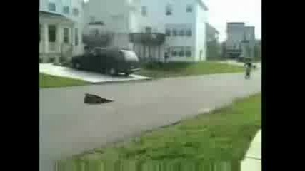 Кобила (колело)
