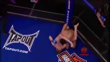 Топ 10 Mma Submissions 