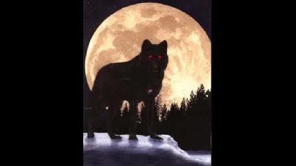 Bate Pesho Ft. Tina - Wolf