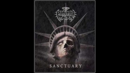 Praying mantis - So high