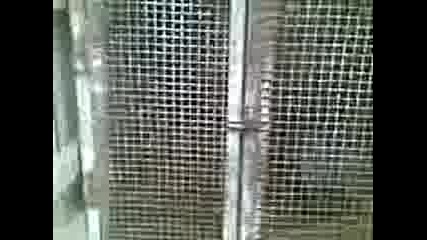 Эаек Яде Пиле