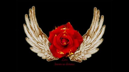 On The Wings Of Love 
