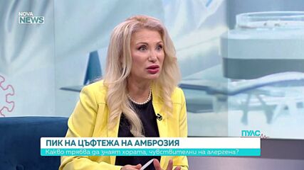 Какво трябва да знаят хората, чувствителни към амброзията