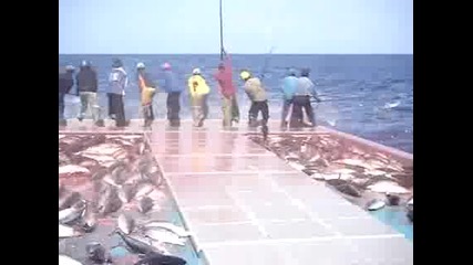 Така Се Лови Риба