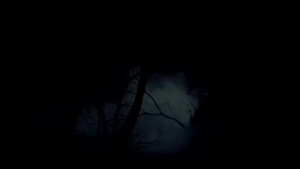 The Vampire Diaries 4 season trailer fan made