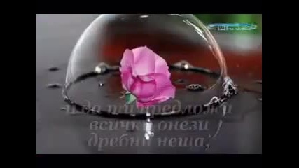 Честит Рожден Ден ,приятелко!