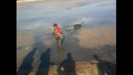 gemi batiqo