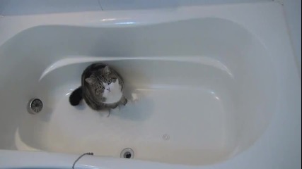 Мару се въргаля във ваната .. Сладур ..