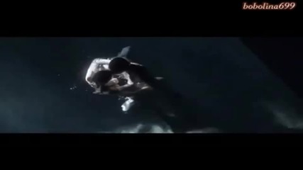 Shahzoda ft Akcent - All Alone [new Song 2012]