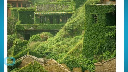 Nature Overtakes an Abandoned Chinese Village