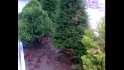 Абитуриенти от Казанлък 24 май 2010
