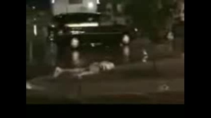 Много Смях! Човек тича и си блъска в знак Стоп!!!
