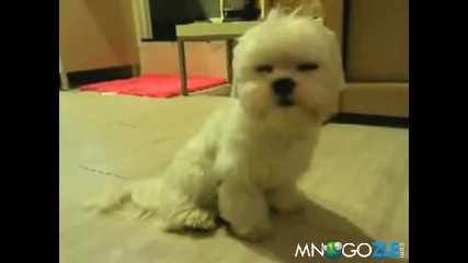 Много му се спи :*