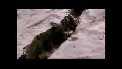 Сътворението на Земята-част 2