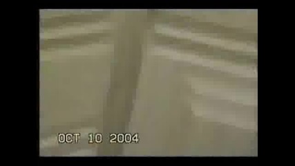 Куче Стои На Ръце!!