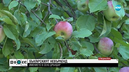 Българският "Невърленд" в село Дръндар: Имението, свързано с Ахмед Доган