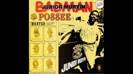 Junior Murvin - Never Fall In Love (heartbreaker) (1982)