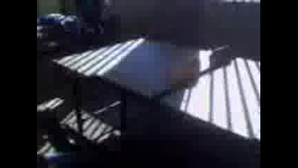 авренския и слави