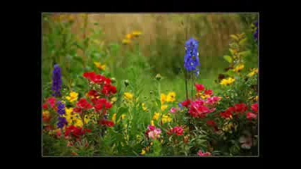 Laka - pozegnanie lata - Chopin