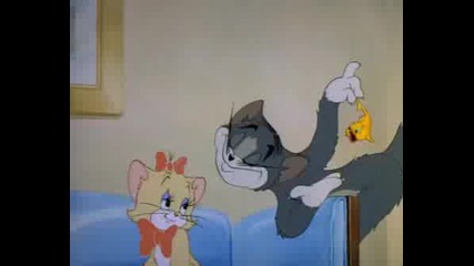 Tom & Jerry - Puss & Toots