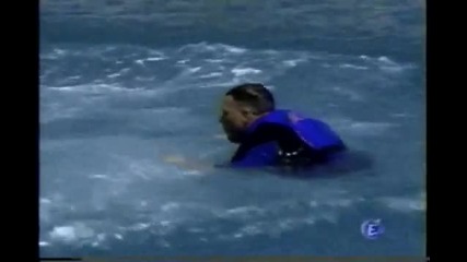 Жан - Клод Ван Дам плува с делфини