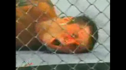 Randy Orton vs Undertaker Hell in a Cell Highlights