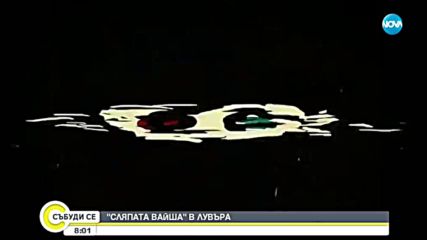 "Сляпата Вайша" влиза в Лувъра