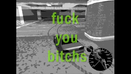 Fuck You Bitches