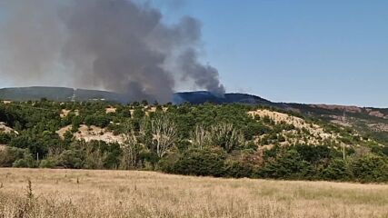 Голям пожар избухна в Кърджалийско