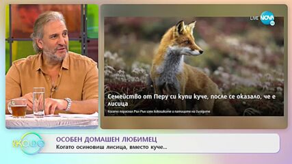 Ново приложение показва домашния ни любимец като герой от изобразителното изкуство - „На кафе”