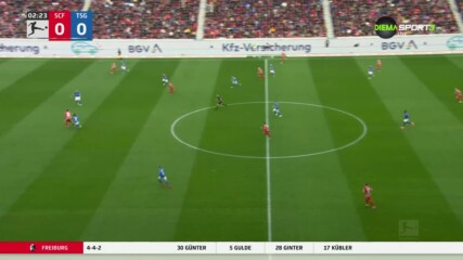 Фрайбург - Хофенхайм 2:1 /репортаж/