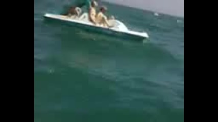 Видео - 0001 1