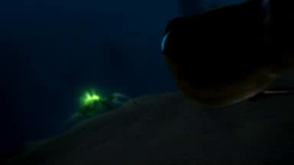Bionicle - Barraki Creeps From The Deep